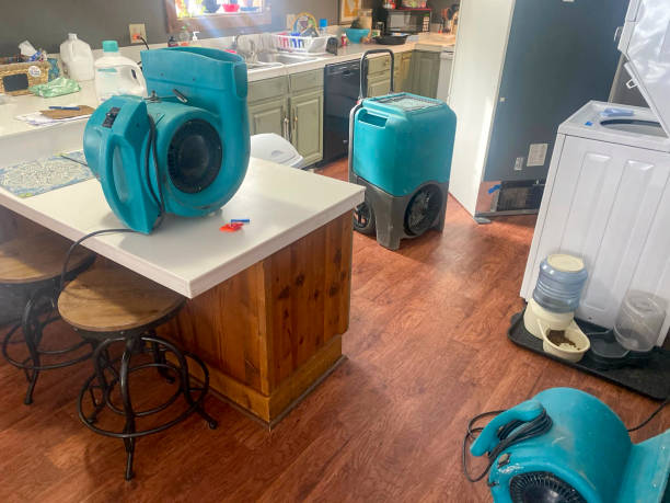 Best Professional water damage repair  in Woodmere, LA